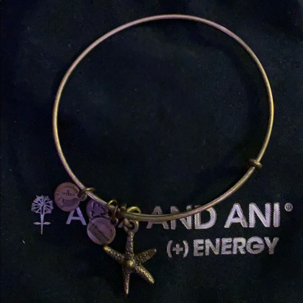 Alex and ani bracelet